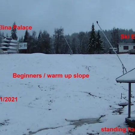 Apartment Mountain Chalets - Elina Palace