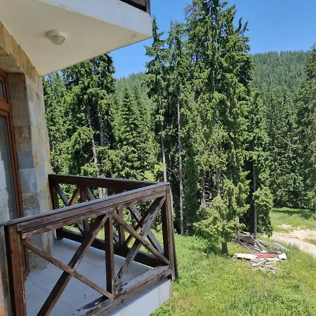 Mountain Chalets - Elina Palace *